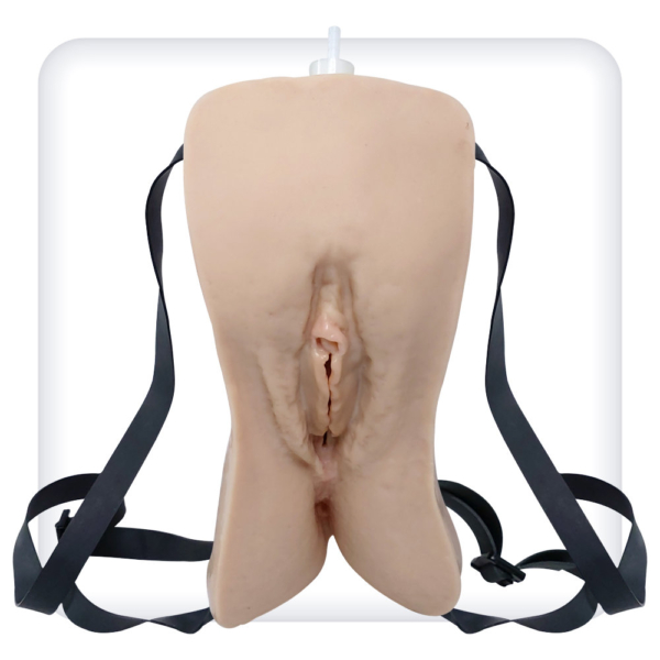 Simulator for practicing the skills of female urethral catheterization