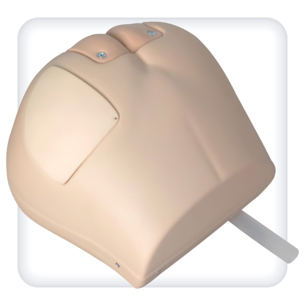 Pelvic floor simulator for enema, intramuscular injections, stoma treatment