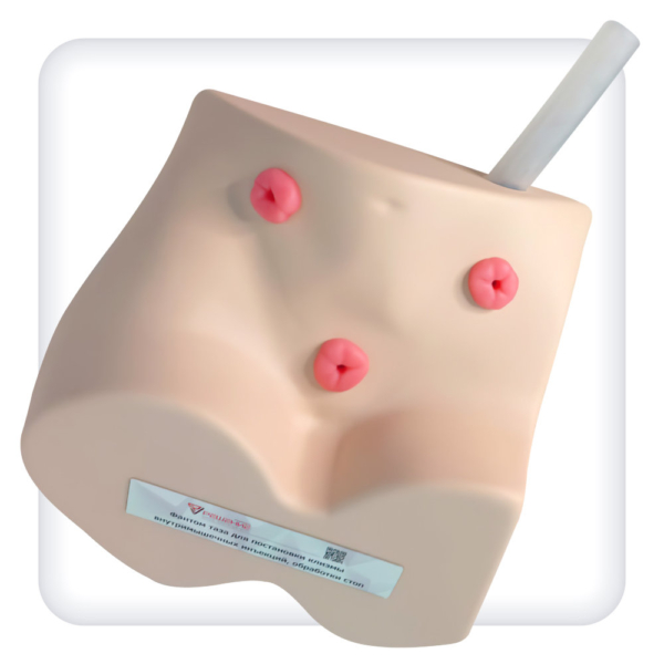 Pelvic floor simulator for enema, intramuscular injections, stoma treatment