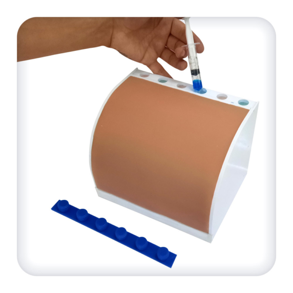 Kidney model for practicing skills of percutaneous puncture interventions under ultrasound control