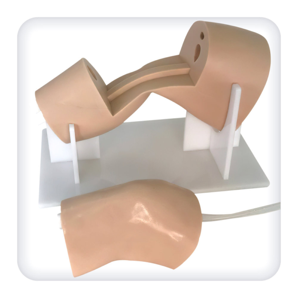 Knee joint model for practicing fluid aspiration and injection skills under ultrasound control