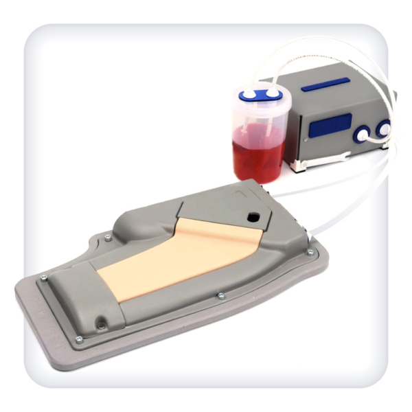 Simulator for practicing the skills of femoral vessels catheterization under ultrasound control