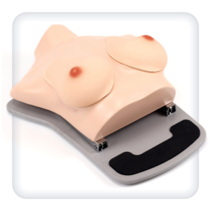 Simulator for practicing the skills of clinical palpation of the breast under ultrasound control