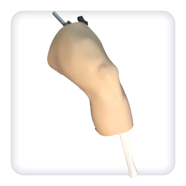 Model of the knee joint for arthroscopic procedures