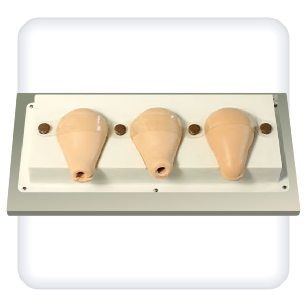 Intrauterine Contraception Trainer