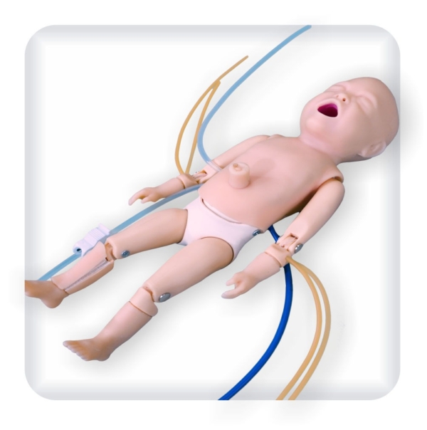 Simulator of a premature newborn for emergency medical care